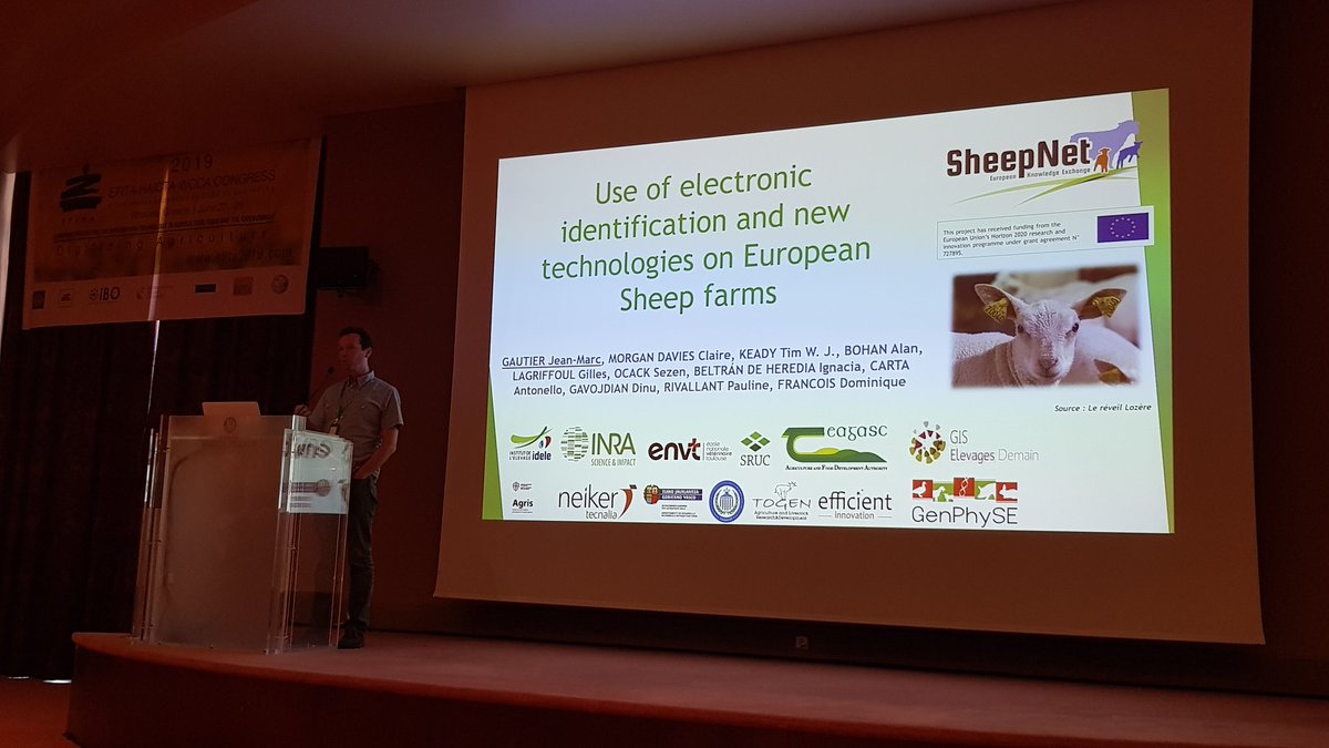 ageekculture's tweet image. @GautierIdele from @InstitutElevage presentation at #efita2019. Project #sheepnet : the use of electronic identification  and #Agtech on European sheep farms.