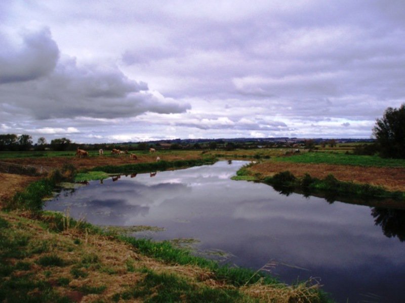Are you an #Engineer who would like to help in #creatingabetterplace? As an engineering catchment officer, within the Asset Performance team, you'll be working on whole life Asset Management of flood risk assets. Apply here ow.ly/L6nN50uOVnF #EAjobs. #Careergoals.