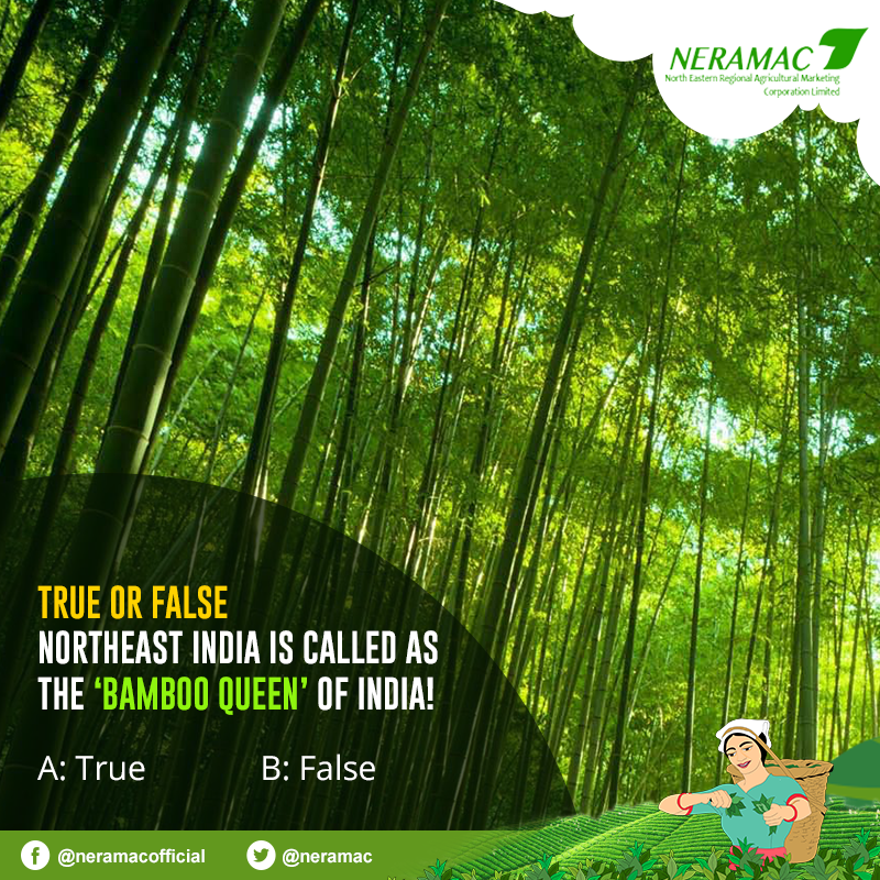 neramac's tweet photo. Put on your thinking hats and try answering this question!
#NERAMAC #Organic #ONE #NeFresh #Manufacturers #Quiz #bamboo #NorthEastIndia https://t.co/B0uiKuBt7l