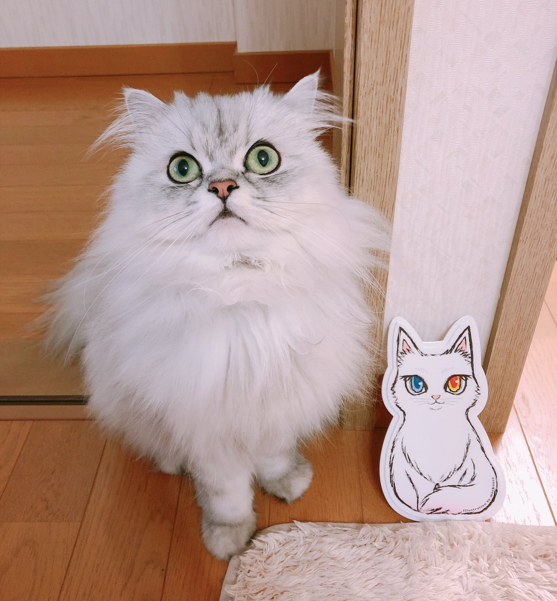 福ねこ弁当 福ねこ弁当