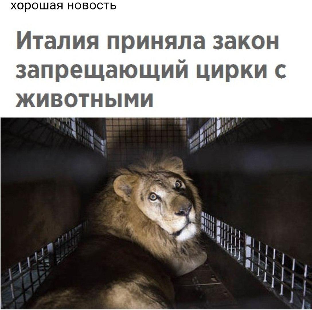LevTrofimov's tweet photo. Вот! https://t.co/Qiz0fOZMxM