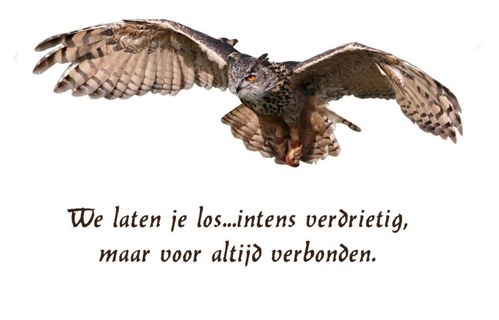 Marian is overleden leiden-helpt.nl/2019/06/28/mar…