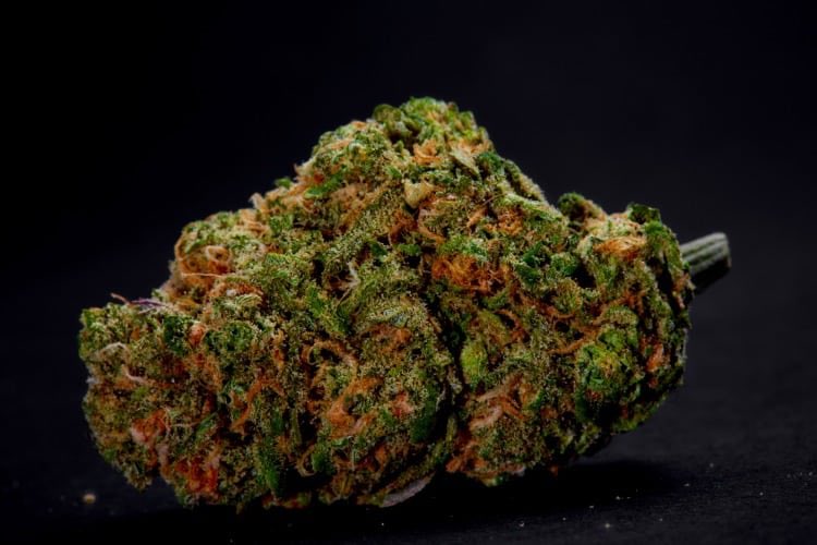 Yuta: Dirty GirlThis strain is a true sativa and it has a wonderful aroma of tropical pineapples and tastes like lemon candy. It offers TONS of creative energy and euphoria, great for a wake and bake or a paint and smoke sesh. I would def fuck on this strain and as a yutazen...
