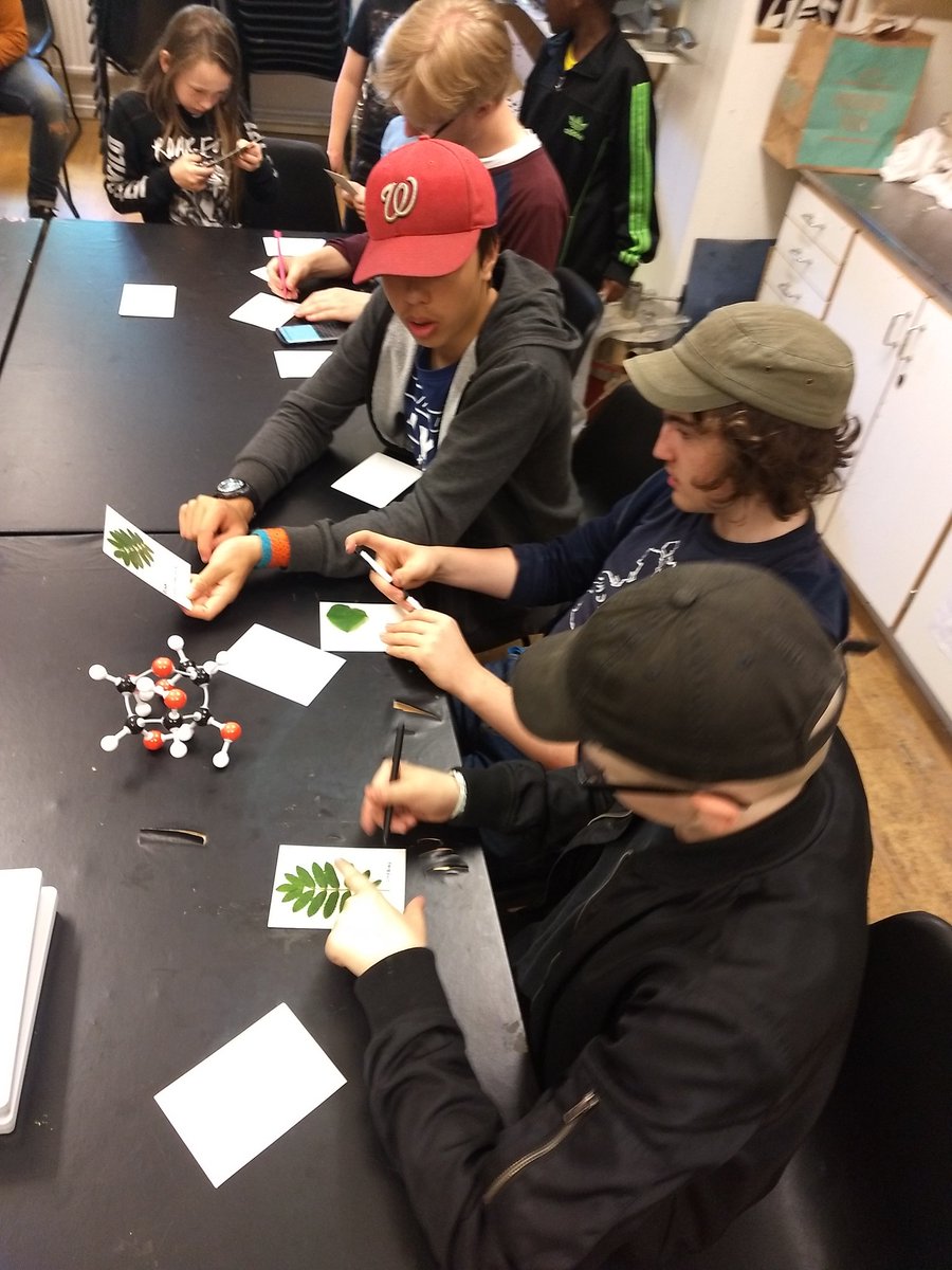 Idag har vi sista dagen med #Biologikollot i Skarpnäck med <a href="/Science4nxg/">Science4nxg</a>. Vi har haft 50 barn som gått i olika grupper  under 12 dagar. Det har varit riktig kul och lärorikt med både exkursioner och labb. Ett stort tack till Skarpnäcks kulturhus och BRF Segelflygaren.