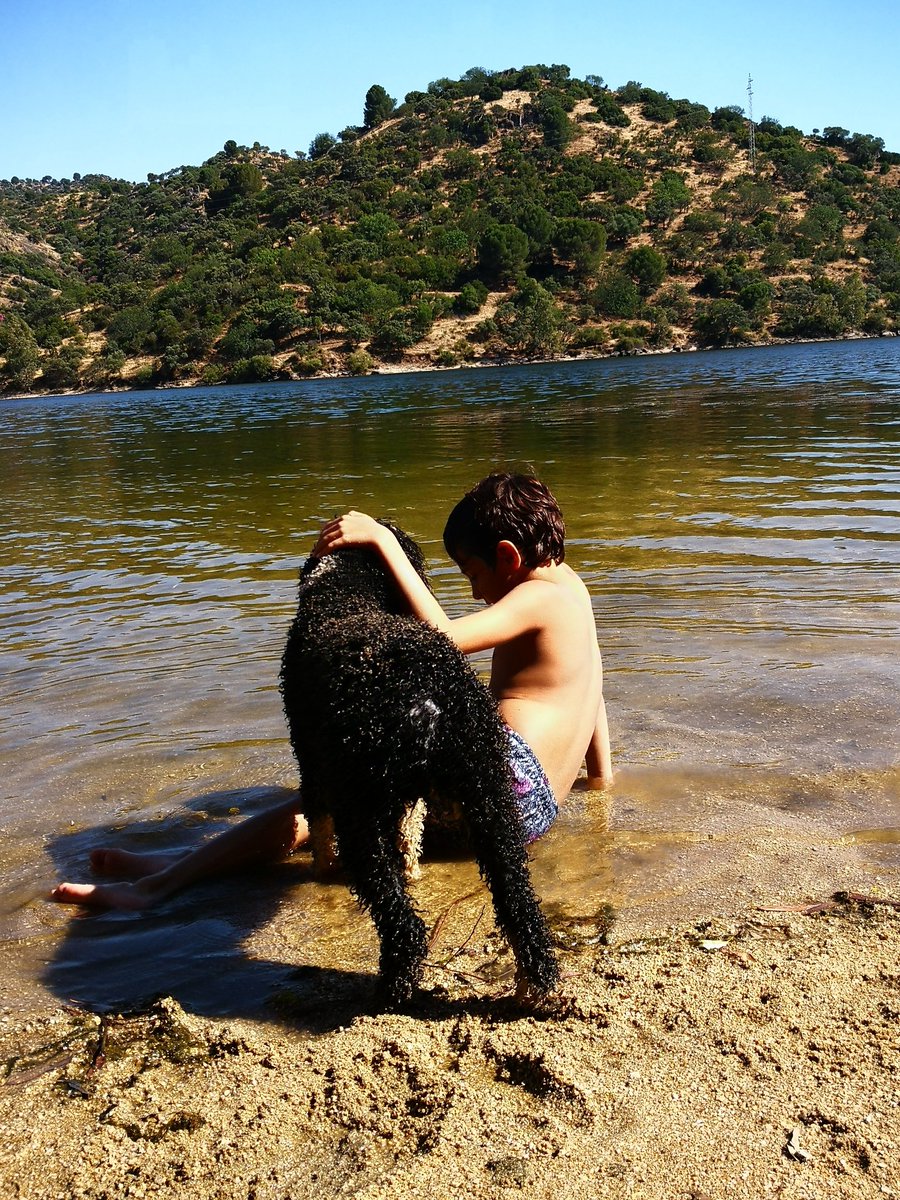 mariamartinmore's tweet photo. @perezreverte Cuando nos quitaron a Orco llegó Lennon, pero cada uno deja su hueco especial en el corazón https://t.co/gAG8SfyZtd