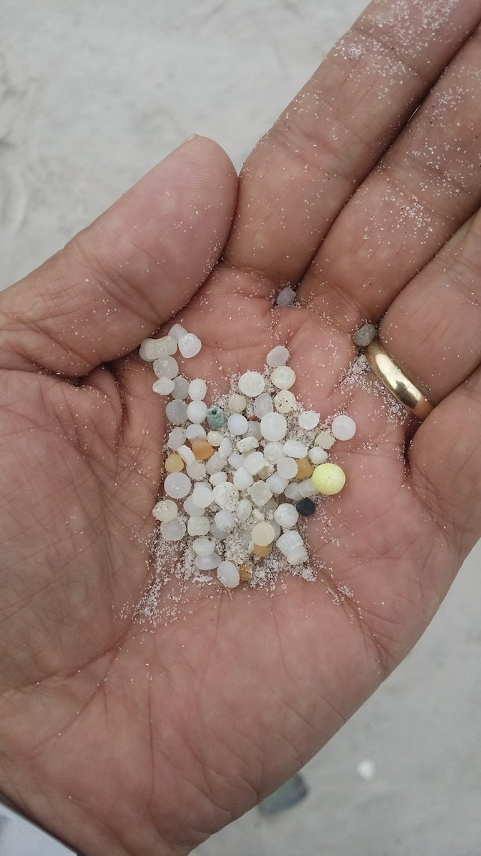 ConradSparks7's tweet photo. Recent visit to popular Big Bay beach, #bloubergstrand, #capetown... Collected these #nurdles within 5 minutes. #microplastics #microplasticsa. https://t.co/xgog2VBP5Z