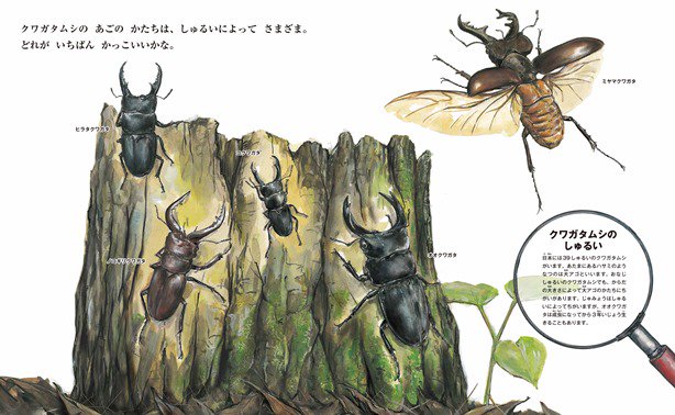 Kadokawa 児童図書編集部 6月新刊情報 カブトムシにクワガタムシ タマムシにオオムラサキ 大好きな虫 がいっぱい 出てくる虫 ぜんぶわかるかな すごい虫ずかん 本日発売 T Co Lruzbhvisc 虫図鑑 絵本 じゅえき太郎 T Co