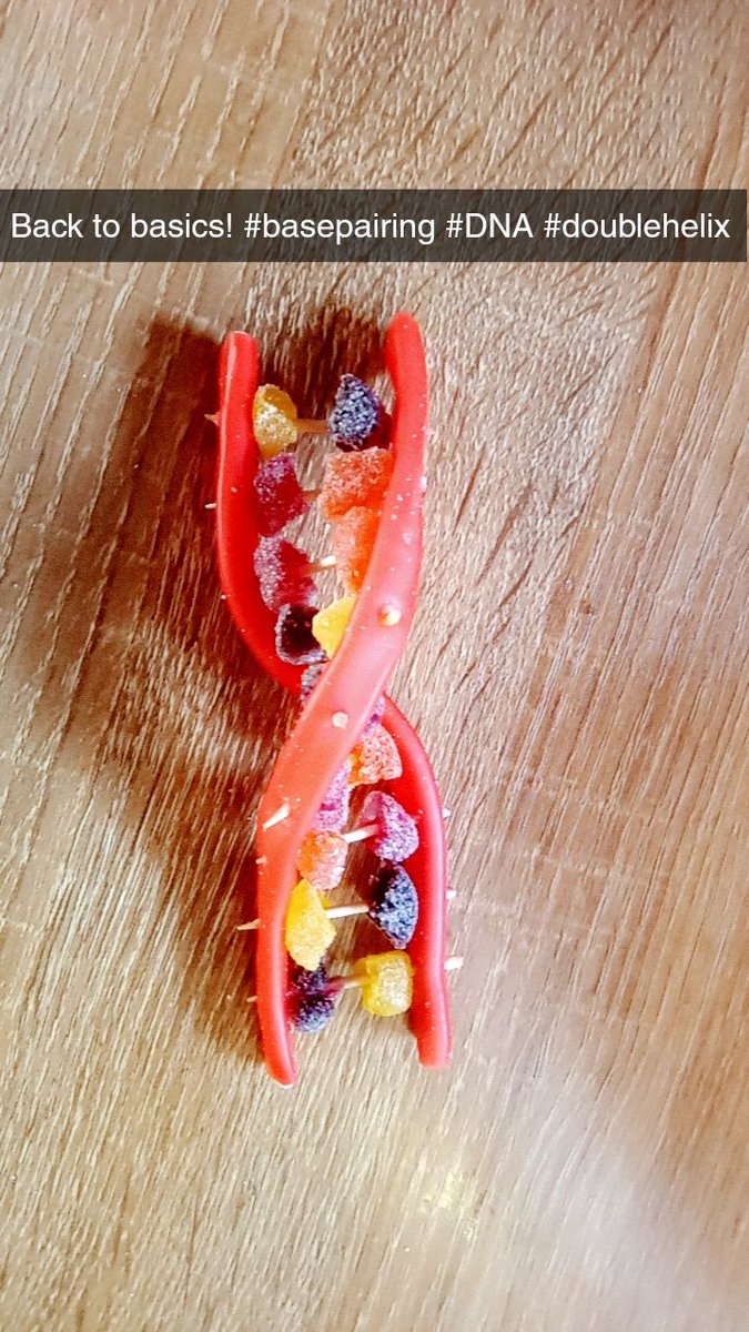kidz_science's tweet photo. Back to BASE-ics #DNA #doublehelix #basepairing

Sign up for our unbeatable value STEM summer camps for more of these:

https://t.co/3FuV15Ef01 

@BirrCastle @OffalyLibraries @LoughGurVisit @LoughreaFRC @mykidstime https://t.co/B3con0Shaj