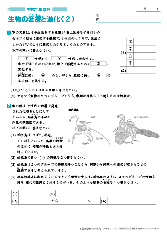 Uzivatel ちびむすドリル Na Twitteru 作成 公開しました 中学生 中学2年生 理科 問題プリント 生物の変遷と進化 4枚 を公開しました T Co Nwsmra62ot 無料でダウンロード プリントアウトできる 中2理科の問題プリントです