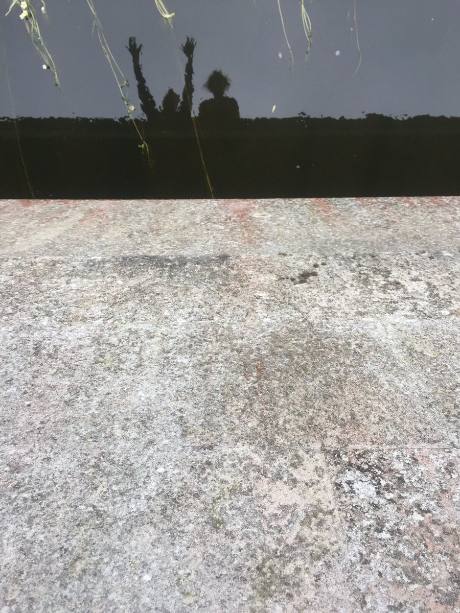 kbwoodnews's tweet photo. #drawing the streets #salisbury
#walk5 #urbanruralexchange
#guildhall to #salisburymuseum
-
#kbwoodnews with @jamesaldridge4 
#noticing #portals #reflections #collaboration @casartists  reconnaissance 
for October when #tbwdp19 #regional at salisbury museum @artsTBW @AnitaTaylor_ https://t.co/InrLMSz4Wl
