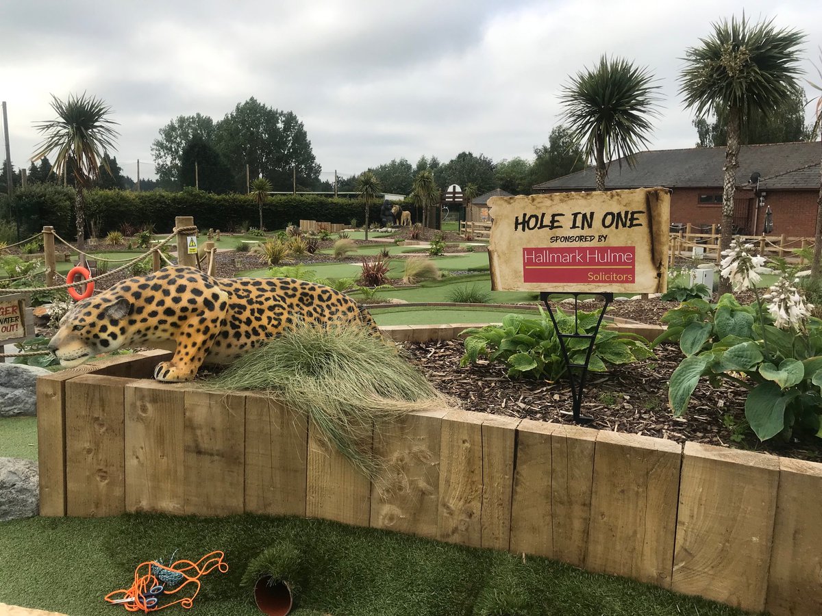 Rebecca Widdowson tweet media