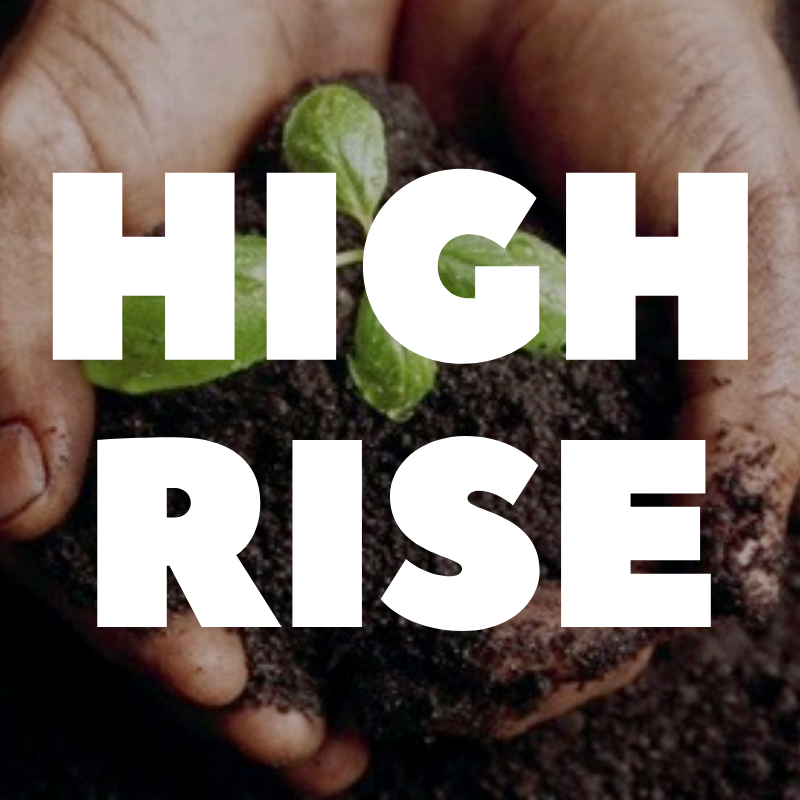 highriseseed tweet picture