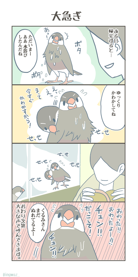 文 新木南生 たしかに手でしか浴びれないとそういう事になりますね 地震の時 ひっくり返ったりで大変でしたものね うちは逆にアウターバスからしかお水を飲まないうめさんがいるのでお風呂は夜以外 外せないのです 文鳥さん一度こうと決めたものは