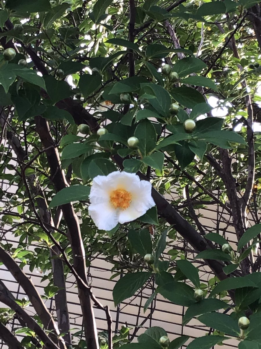 岡崎子ども美術博物館