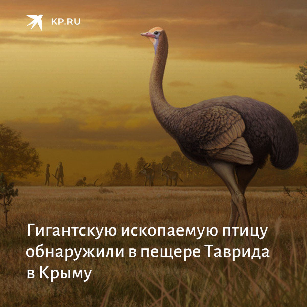 KP.RU - Крым on Twitter: "Еще одно необычное открытие на территории ...