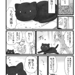 黒猫は縁起が悪い？そんなことないよ!黒猫は可愛くてロックで最高!