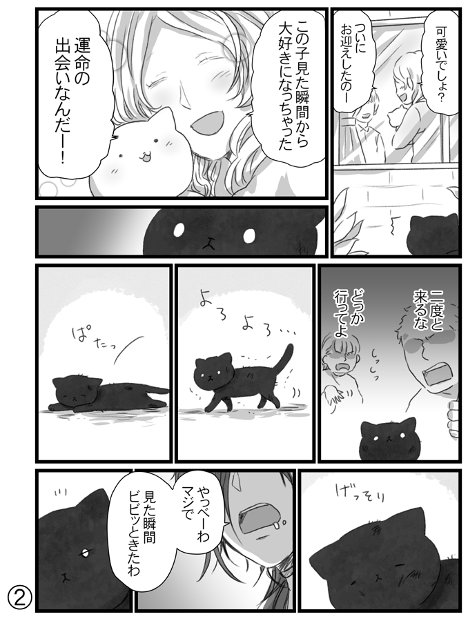 黒猫は縁起が悪い そんなことないよ 黒猫は可愛くてロックで最高 話題の画像プラス