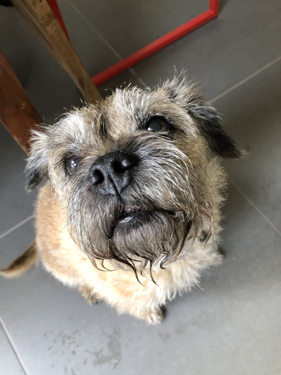Treat treat treat pweeeeez! #BTPosse #lilster