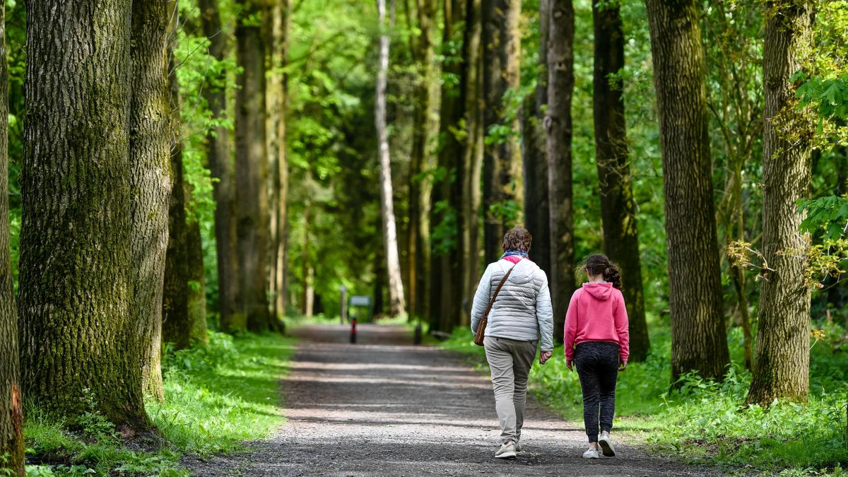 #loisirs #jeux 
Cinq idées de #BaladeSympa verte de l’autre côté de la frontière
➡️ bit.ly/2NixziP