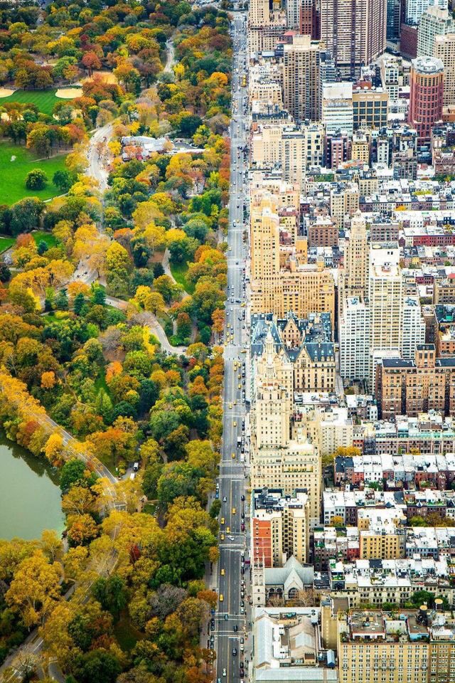 wild_streets's tweet photo. The line between parks and urban dwellings are still too pronounced. Our app will help initiatives like @LondonNPC @CityofTreesMcr and @GrowGreenCities to create meaningful green enclaves for residents to benefit from. #wegreenthiscity #greencities https://t.co/iHQFZhCtNB