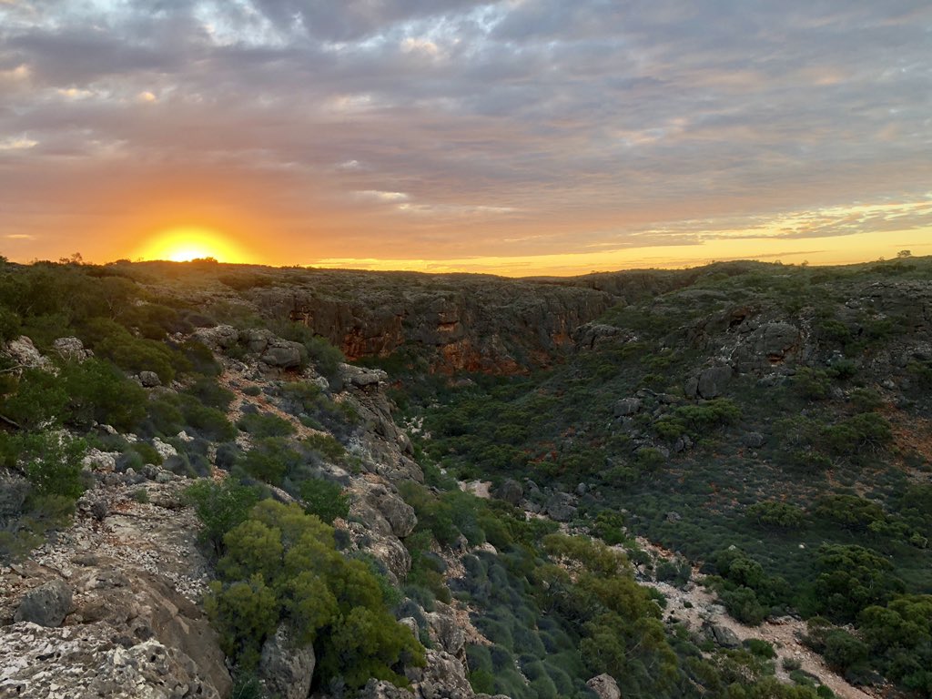 KateGrarock's tweet photo. A view Iβd normally #hike 3 days to find- such a privilege to be working with @BushBlitz2 in the spectacular #CapeRange
π took us to a remote canyon where we spent the night looking for reptilesπ¦@Earthwatch_Aus @wamuseum @Parks_Australia @envirogov @bhp #exmouth #WildOz https://t.co/7CLt0H4iXy