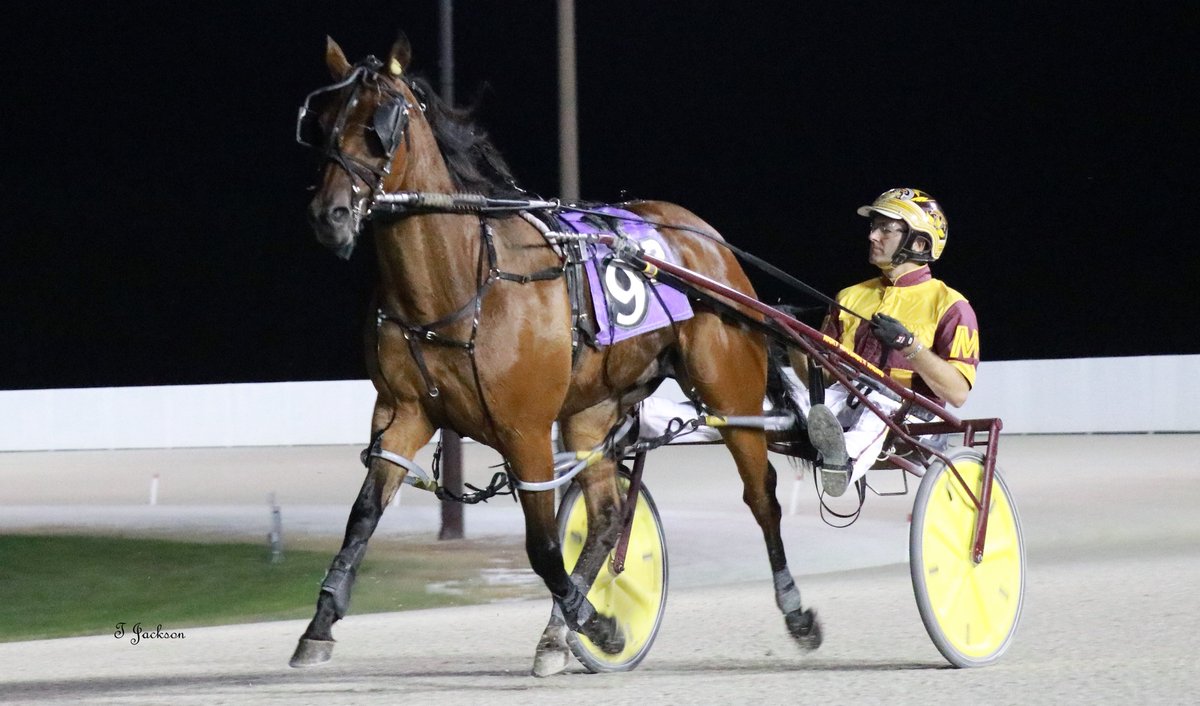 hoosiernations's tweet photo. GoodMorning @MacomberJr @triplemracing @Chris_wponies @JoannKi32885615 @jtlburn @kimberlymoier @GlenPeckinpaugh @DawnPeckinpaugh @vnssa926 @KathleenBaitzel @joe_norte @blongphee67 @elliotgordon2 @SadandSulk @tlvonline @HoP_Racing #Boysrockthefarm #RickyMacomberJr #PlayHP https://t.co/lePZQBpH6e