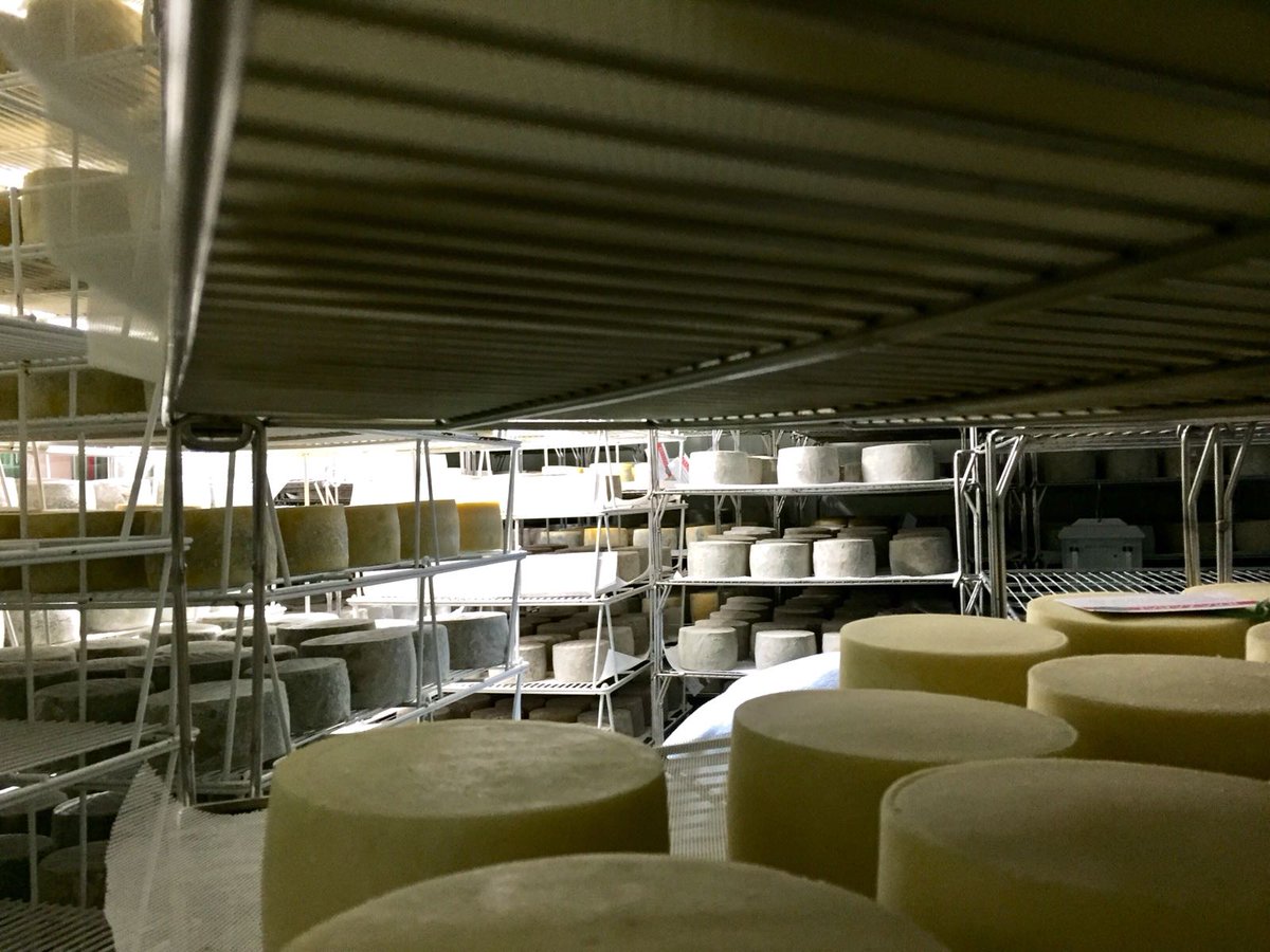 Baztan_Bidasoa's tweet photo. Qué no te las den con #queso 😂😂
#Kortariko gasnategia, @Baztan_Bidasoa, productores del mejor queso #Idiazabal #visitas guiadas #degustación
#Gasna onena nola egiten den ikusi nahi duzu?😋
Erreserbak: 948.580.427
Whatsapp: 638.357.517
https://t.co/JAa3Lqb14o https://t.co/tPg1oTAPKm