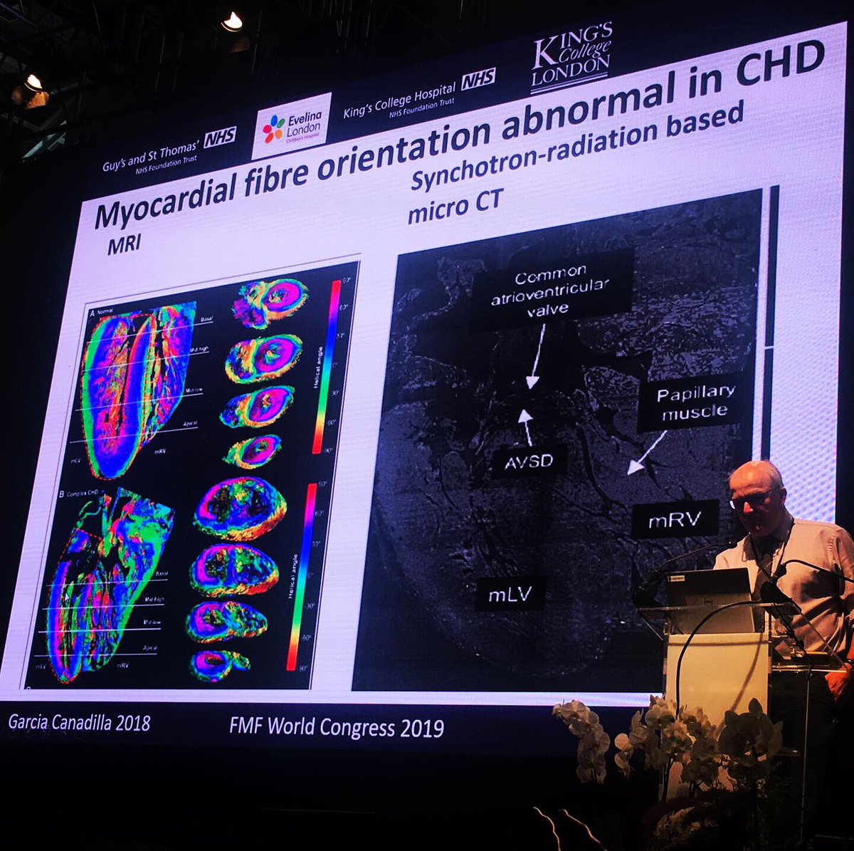 Fatima Crispi tweet media