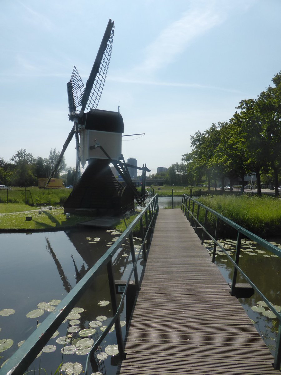 wandelbrugjes's tweet photo. De Maredijkmolen is te voet bereikbaar.
#TheNetherlands #ZuidHolland #Leiden #Maredijk #Maredijkmolen #wandelen #wanderlust #wanderliebe #outdoors #RomeinseLimespad @RomeinseLimesNL @SVMaredijk #molen #windmolen @WindmolenMemes @windmolenklacht @stopwindmolens https://t.co/hYjuD6wKVu