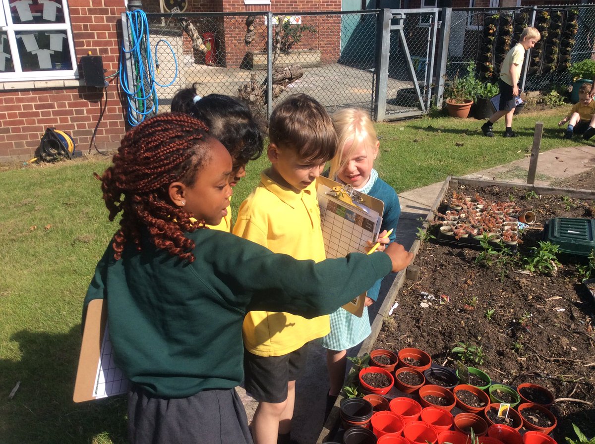 firsprimarysale's tweet photo. #Year1LS #Year1KT #Year2LS Year 1 and Year 2 have teamed up into groups to search for minibeasts. What will we find today? https://t.co/f4Xcu4jyXI