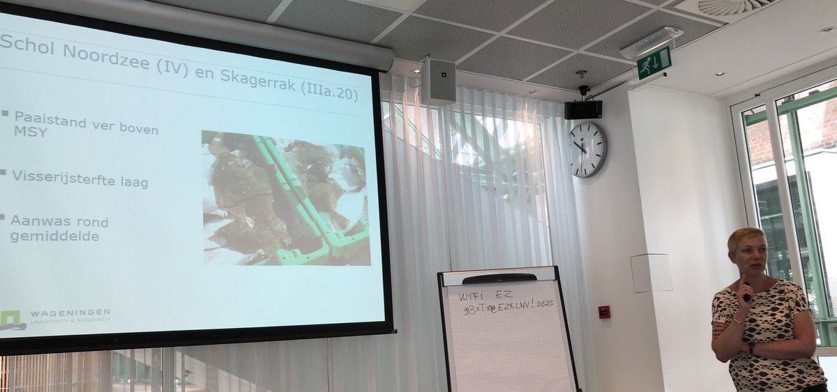 VisNed's tweet image. #breakingnews @ICES_ASC constateert dat het Noordzee Scholbestand verder is doorgegroeid en nu door de 1 miljoen ton grens is gebarsten. Er zit dus meer dan een miljard kilo schol in de Noordzee! Vanwege EU Noorwegen 🇪🇺🇳🇴afspraken toch een advies over lagere vangsthoeveelheid.