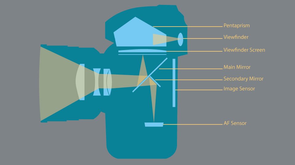 Shutter Speedهذا المصطلح قديم ويستخدم في الكاميرات الاحترافية لانه يوجد مراية أمام الحساس لمنع الضوء ونقل الصورة للمصور من العدسة للـ view finder (كما في الصورة) وكان يقصد به سرعة فتح واغلاق الحاجزتعريف: هو سرعة الحساس لإلتقاط الصورة ويُعنى بإدخال كمية الضوء اللازمة للقطة