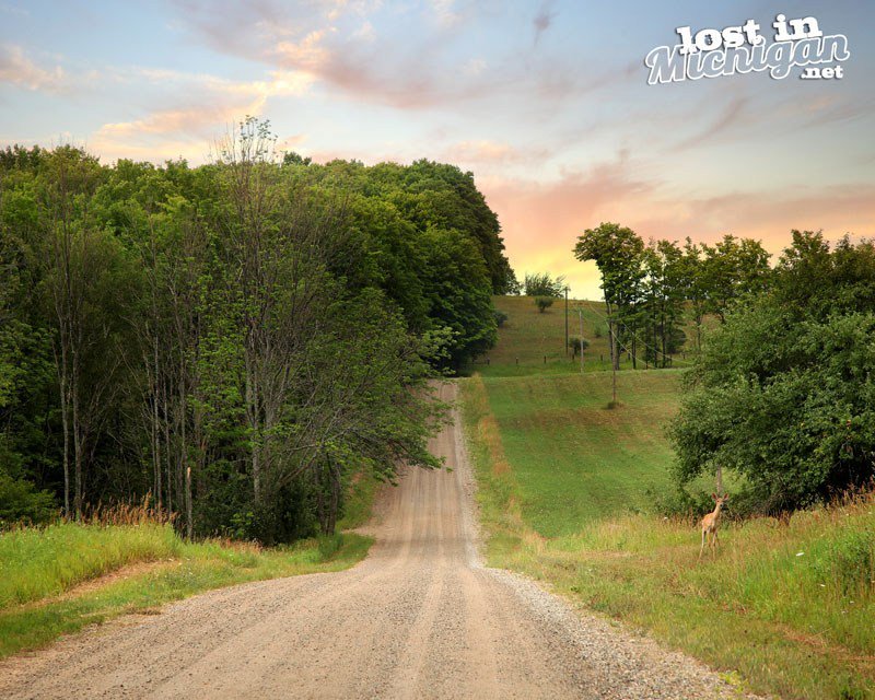 LostnMichigan's tweet photo. Rolling Up Hill near Rose City https://t.co/EIQHsQw9RH https://t.co/8eXmlYLVpX