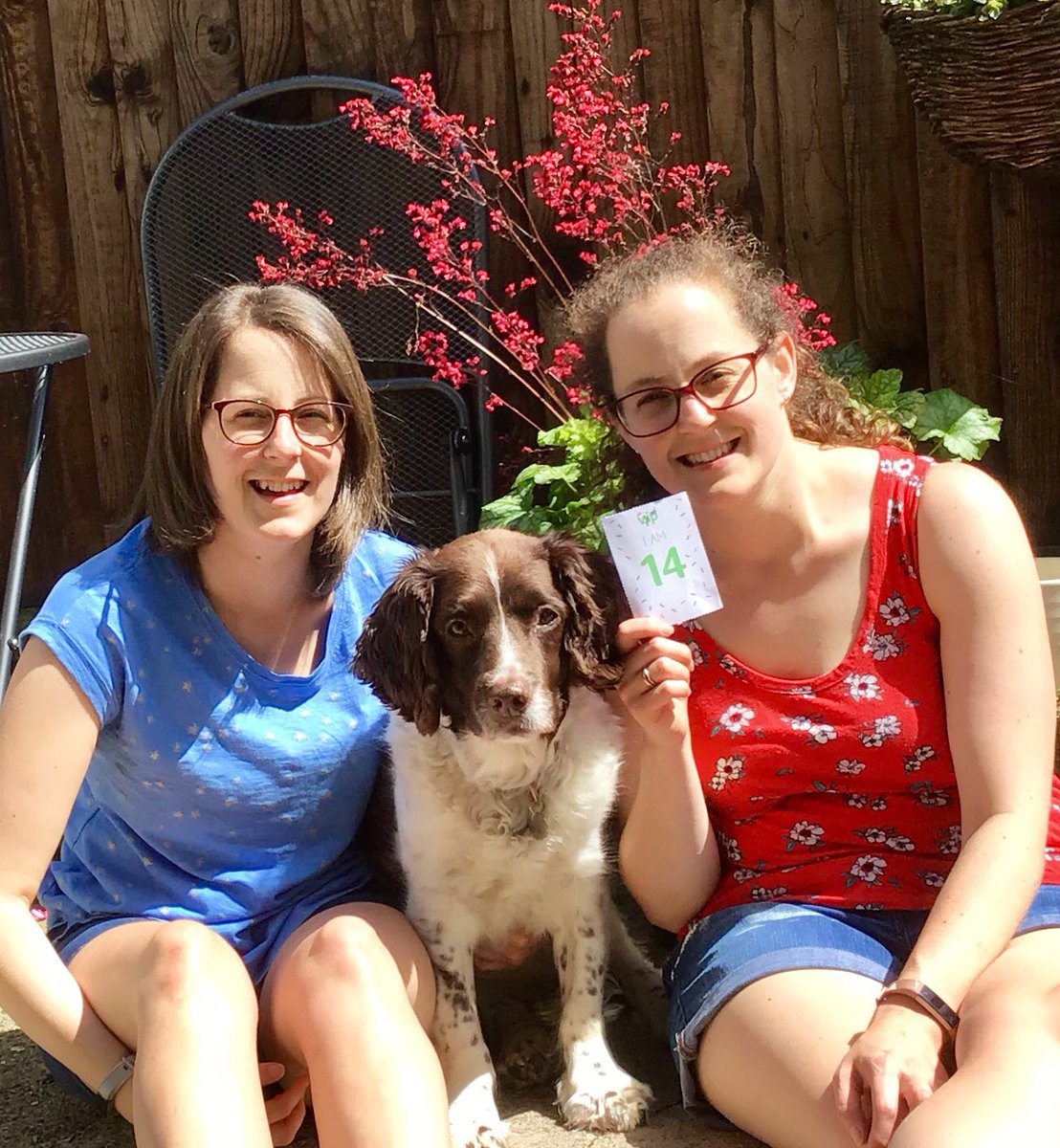 JenSlade23's tweet photo. Tillie turns 14 🎉 Still loving life!! 😍 #VIPbirthday #Petsathome https://t.co/M91zRC4V0j