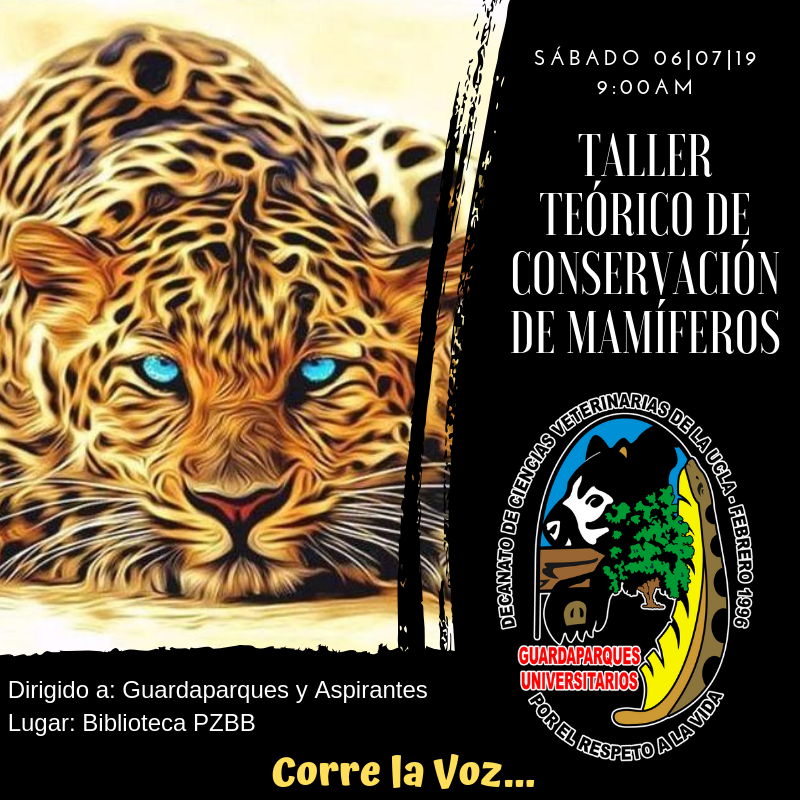 GuardaparqueGGU's tweet photo. 📣No vemos el sabado 6 de Junio
Taller de conservacion de mamiferos para guardaparques y aspirantes 🐯
Ven y comparte la experiencia de aprender en familia 👪
9:00am Biblioteca del PZBB
#Mamiferos #Venezuela #Lara #Nature #ApasionadoporelPlaneta https://t.co/GI2M4lirwh