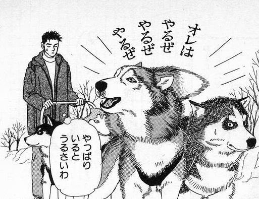 ট ইট র ルーテナント シーザー 動物のお医者さん 集団予防接種会場でも全く動ずることなく注射をされたことにも気付かない豪放磊落なハスキー犬 ハスキー犬と言えば 本来主役クラスのチョビが浮かぶはずなのに 真っ先にコイツを思い出してしまう オレ