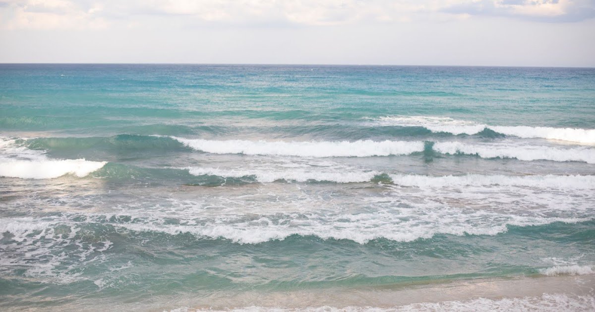 LizLexEvents's tweet image. Chrissy &amp;amp; William MARRIED in Palm Beach! ow.ly/bv8050uMmZG
 #SouthFloridaWeddings #PalmBeachWeddings