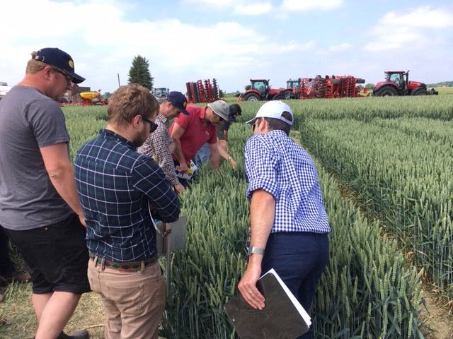 AgrovistaUK's tweet photo. Tom Abbot showing visitors the fungicides may not be the only answer to disease - this pretty clean plot was sprayed with paper waste!
#balne #yorkshire #regionaltrial https://t.co/eRp2hFyPLh