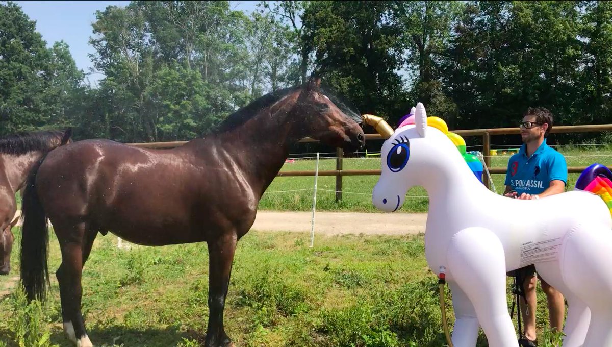 EquimovFr's tweet photo. Promis @ActionFR, si vous êtes en rupture de stock de votre méga pulvérisateur licorne c’est pas de notre faute !

📹 : les clefs de Milton / https://t.co/Zre8gyyUhM https://t.co/qQShuf5xJg