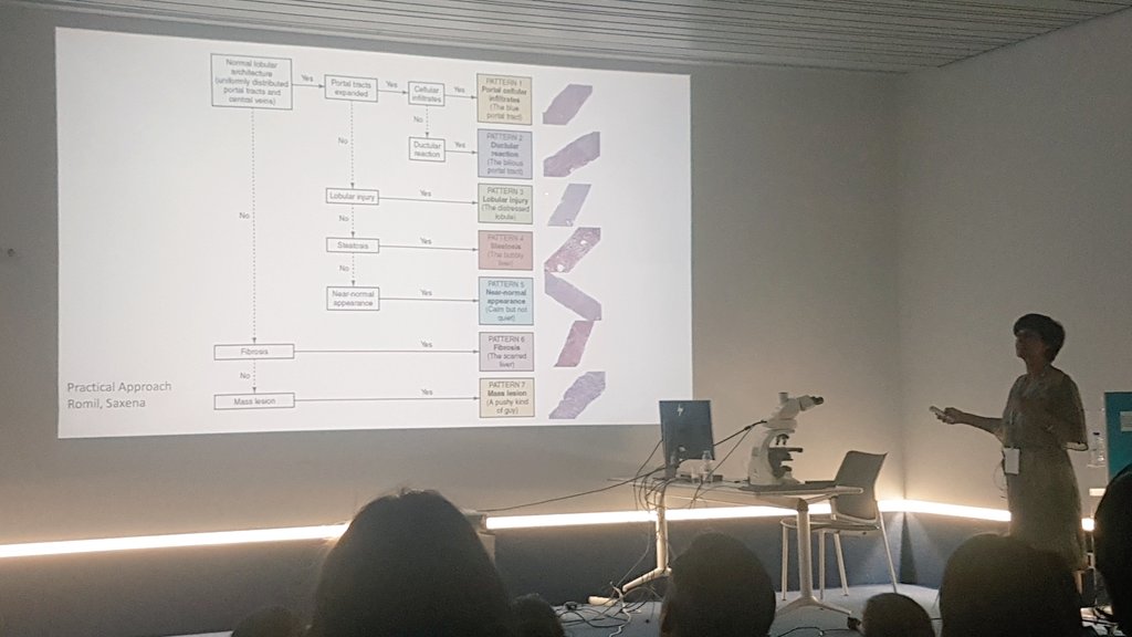 SPAPatologia's tweet photo. Sessão da tarde com a Dra. Augusta Cipriano sobre Patologia Hepática 👏👏🔬 #ENI #NISPAP #SPAP https://t.co/MXBRXcIq5D