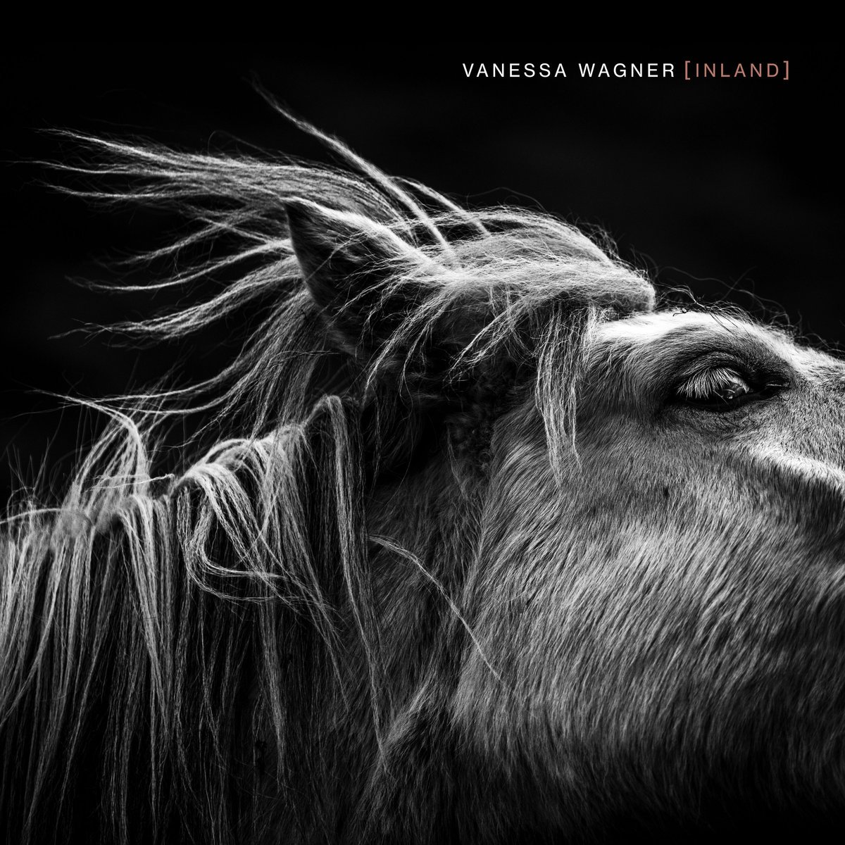 La pianiste Vanessa Wagner viendra « libérer le temps » au CAPC le dimanche 14 juillet, en interprétant dans on intégralité le ‘Livre des sons’ de Hans Otte (concert gratuit sur réservations) 🎹

infine-rec.bandcamp.com/track/das-buch…