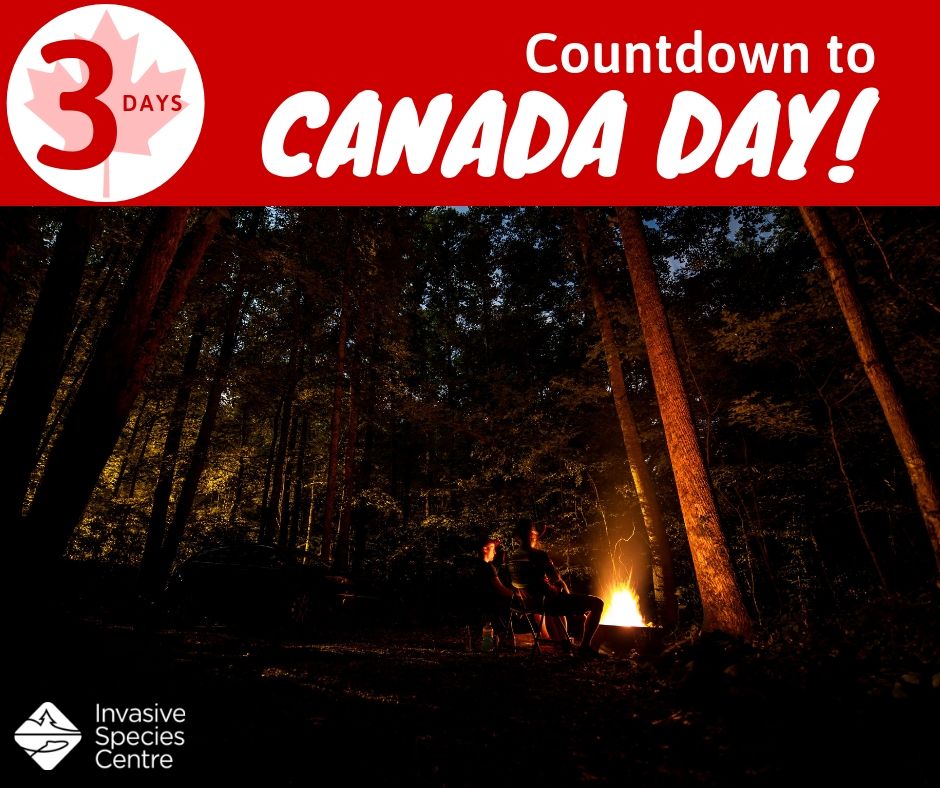 InvSp's tweet photo. Campfire season is upon us! In order to #PreventTheSpread of #InvasiveSpecies like emerald ash borer, remember to always #BuyLocal &amp; #BurnLocal firewood!

Visit @CFIA_Canada's website to learn more about firewood restrictions and regulations: https://t.co/IX0Txau2Rw https://t.co/N4Epn4muOk
