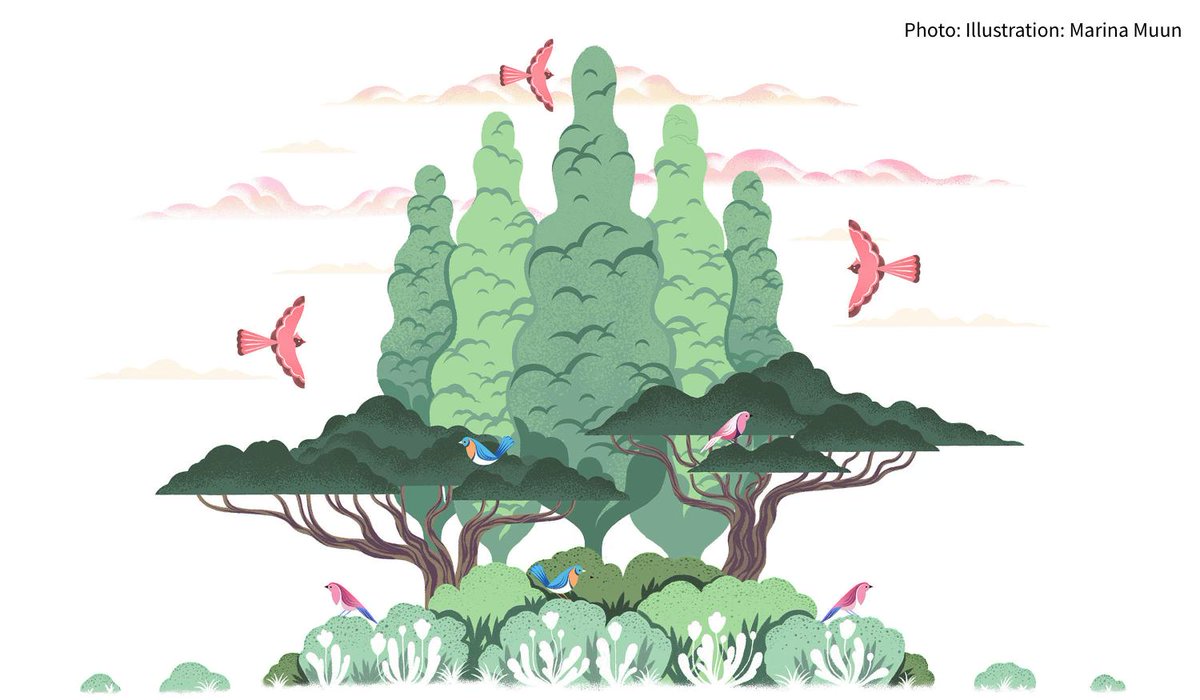 Trees create habitat and store CO2 for decades to come. Just be sure to pick carefully. Plant native trees that turn your backyard into a bird oasis: ow.ly/XkwY30opBRz #PlantsForBirds