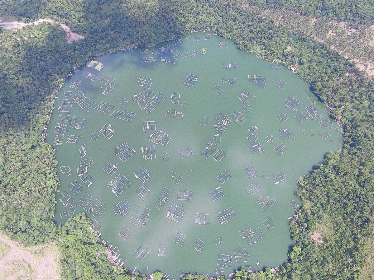 IPA_ECN's tweet photo. #fieldwork in the #phillipines. Check out Wayne Bannister's fantastic #instagram post (@ipaecn) on the #tropical #lakes of #SanPablo with @charlybriddon1 @Suz_McG @UoNGeography @NUSingapore @queensu @UST1611official #phdchat For more: https://t.co/Nd8cRgKcb7 https://t.co/6o3BRTsBKe