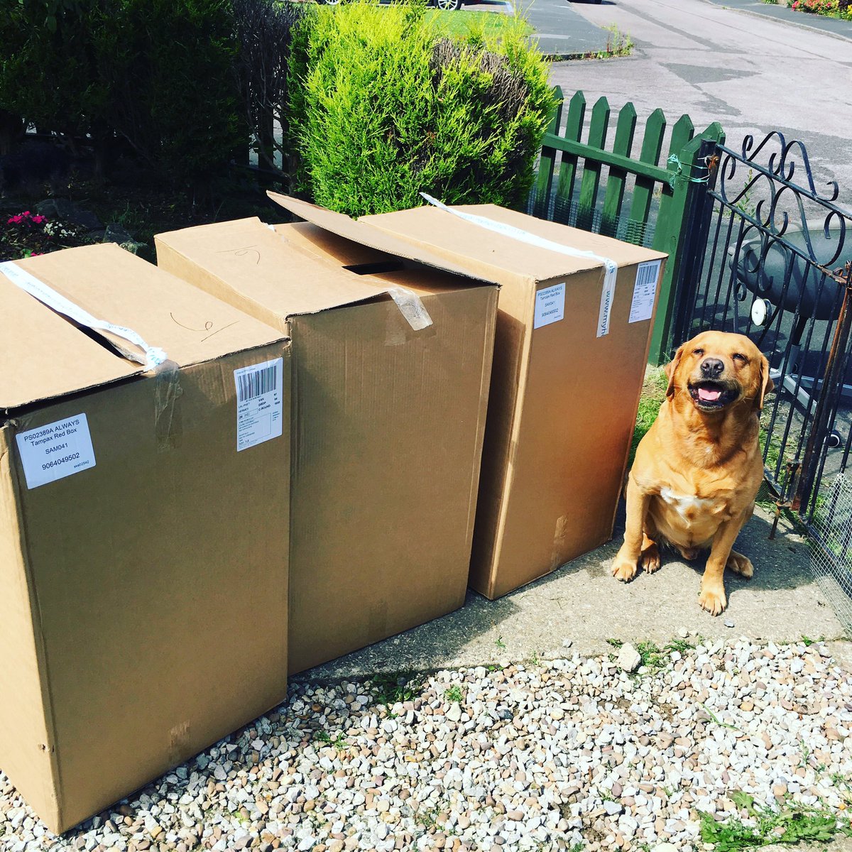 TheRedBoxProje1's tweet image. I’ve just received these! 
Even my dogs looking a bit confused because we don’t even know where from 🤣
I’ve an idea it’s a sneaky drop from HQ but who ever it is THANK YOU 😘❤️