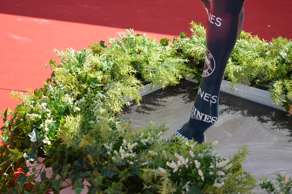 [VILLAGE EXPOSANT] 🥰

N'oubliez pas de venir vous balader dans le village exposant ! Pause fraîcheur, shopping, découverte... il y en a pour tous les goûts ! 🤗
Le village est libre d'accès tout le week-end !
Merci à nos exposants qui nous font confiance ! 🙏

©️ Albane Marschal