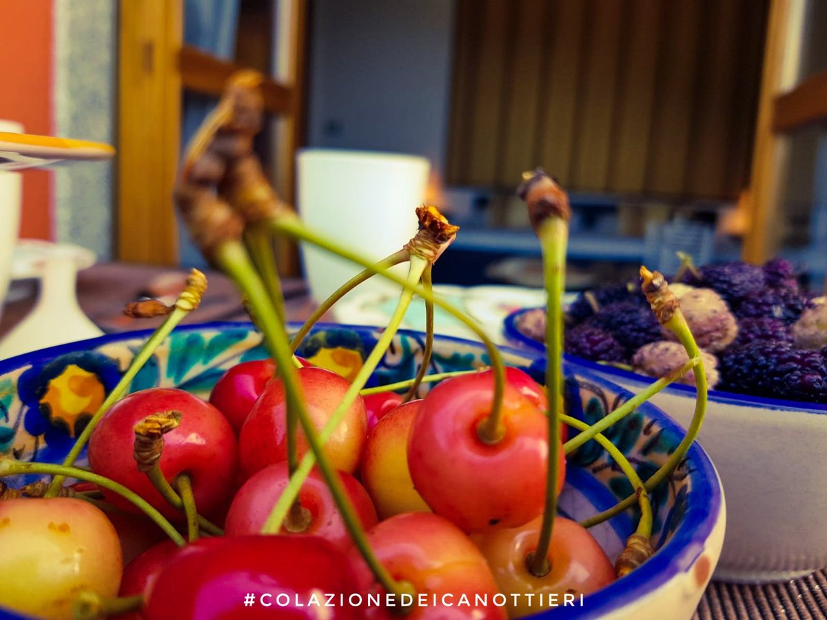 BB_CCanottieri's tweet photo. There is nothing better than starting the day with fresh fruit straight from nature!🌞
#28giugno https://t.co/Z3JTrxySht