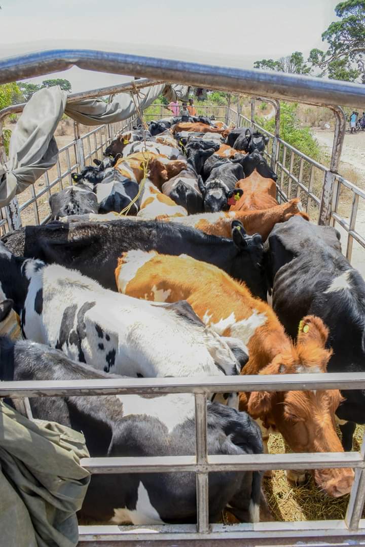 As we mark #KilifiAt6 &amp; #SODA2019, we reiterate our commitment to fighting poverty, improving education standards, eradicating diseases, ensuring food security, improving access to clean &amp; safe water while at the same time improving road network among others... @governorkingi