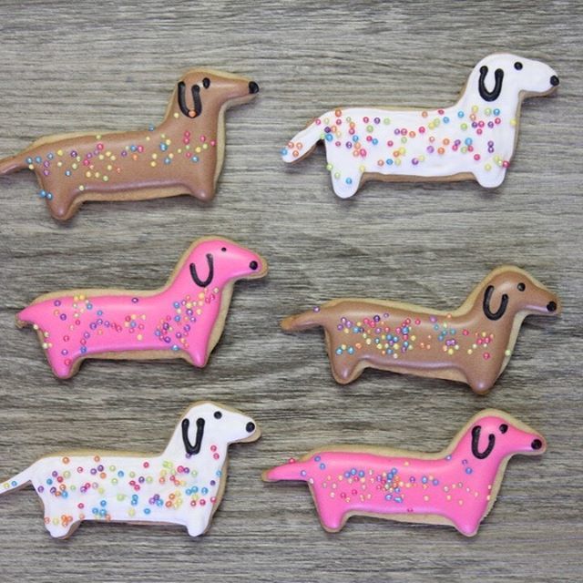 christyssweets's tweet photo. What do you have lined up for the weekend?
Iโm a wiener bit excited for a looooong weekend๐คฃ๐คฃ๐คฃ
.
.
#friyay #fridayfun #weinerdog #weinerdogsofinatagram #customcookie #cookies #cookiedexorator #summer #schoolsout #canadaday2019 https://t.co/G1uQk0NbS5 https://t.co/HhwNtZzMcw