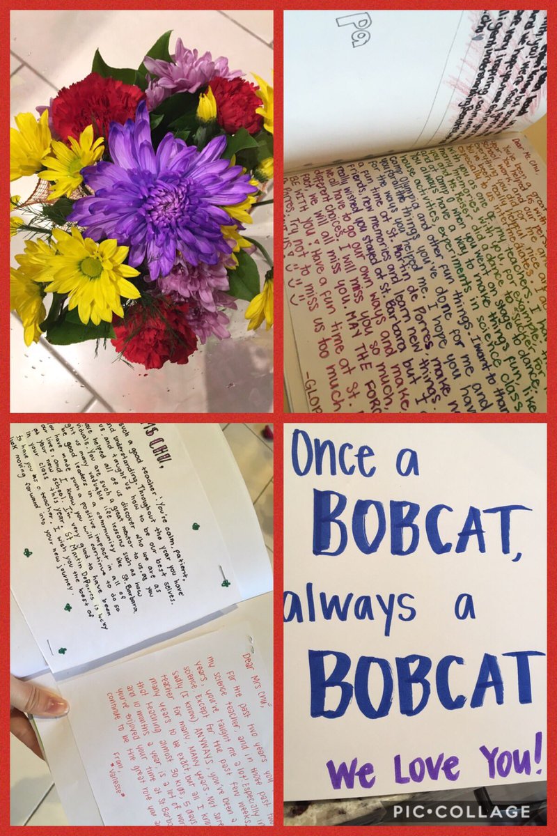Ms_M_Chu's tweet photo. One of my favourite things we did this year was writing affirmations for each other.  To my surprise, I was presented with a farewell gift from the intermediate division - a book of affirmations.  Thank you! You guys have changed my life in unimaginable ways. @StBarbaraLEADER https://t.co/AuD2mpZJeg